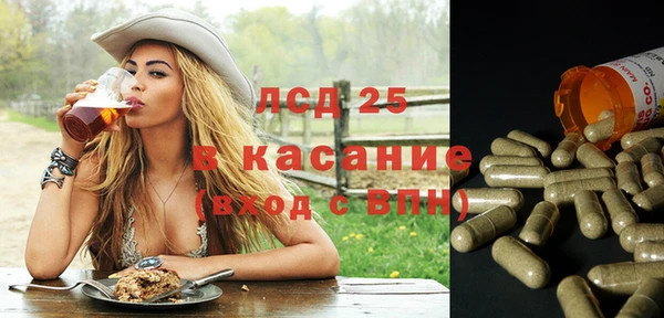 хмурый Зеленокумск