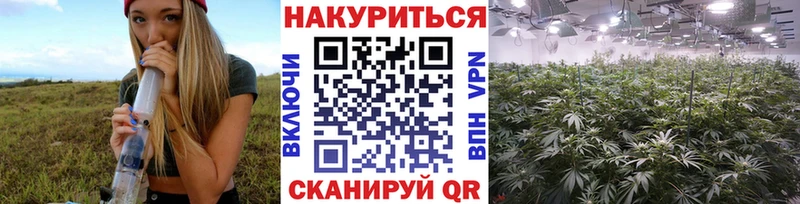 Купить  Гаврилов Посад  Бошки марихуана индика 